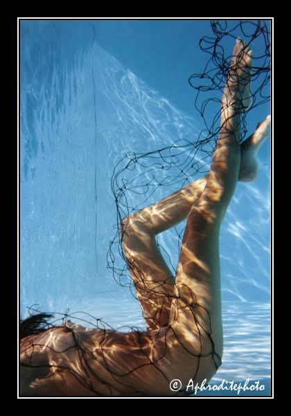 La sirène dans le filet 2